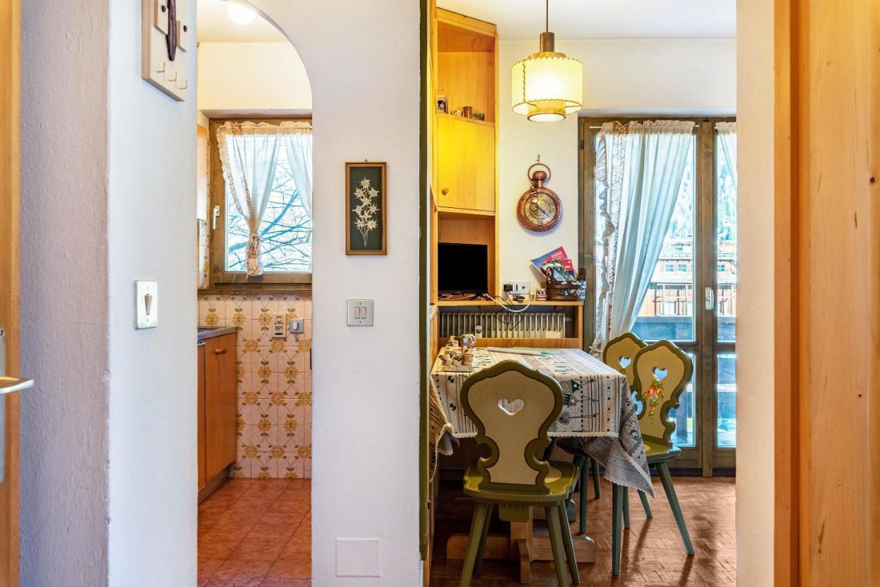 Apartament Ciasa Apelli Pozza di Fassa Zewnętrze zdjęcie